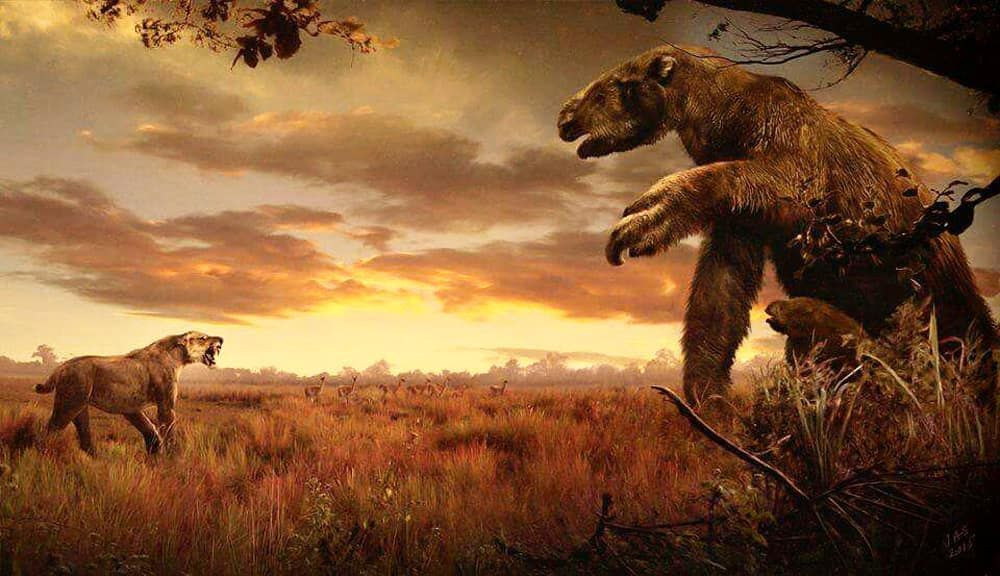  Sự tuyệt chủng. Lười khổng lồ tuyệt chủng vào cuối kỷ nguyên Pleistocen, khoảng 10.000 năm trước, có thể do sự thay đổi khí hậu và săn bắn của loài người. Ảnh: Pinterest.