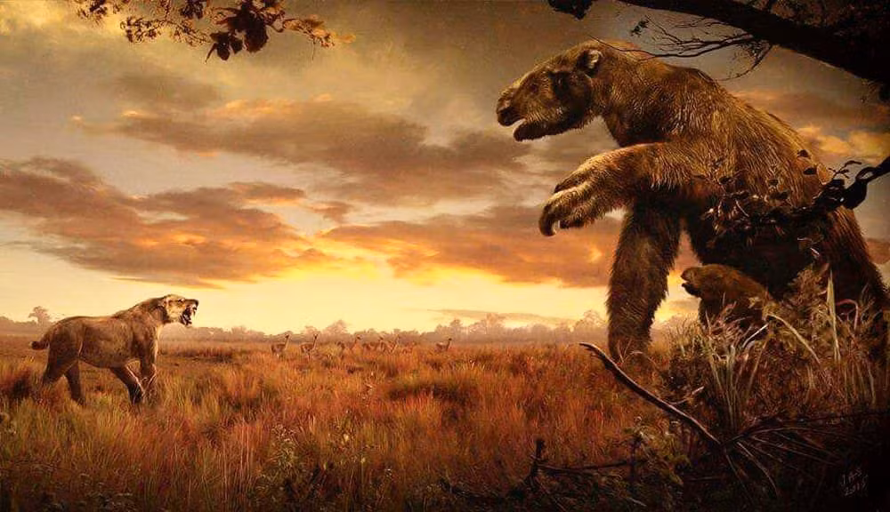  Sự tuyệt chủng. Lười khổng lồ tuyệt chủng vào cuối kỷ nguyên Pleistocen, khoảng 10.000 năm trước, có thể do sự thay đổi khí hậu và săn bắn của loài người. Ảnh: Pinterest.