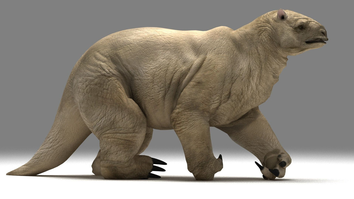  Có móng vuốt cực lớn. Lười khổng lồ sở hữu những móng vuốt rất lớn, có thể dài đến 1 mét và được sử dụng để bám vào cây cối hoặc bảo vệ mình khỏi các loài động vật săn mồi. Ảnh: Pinterest.