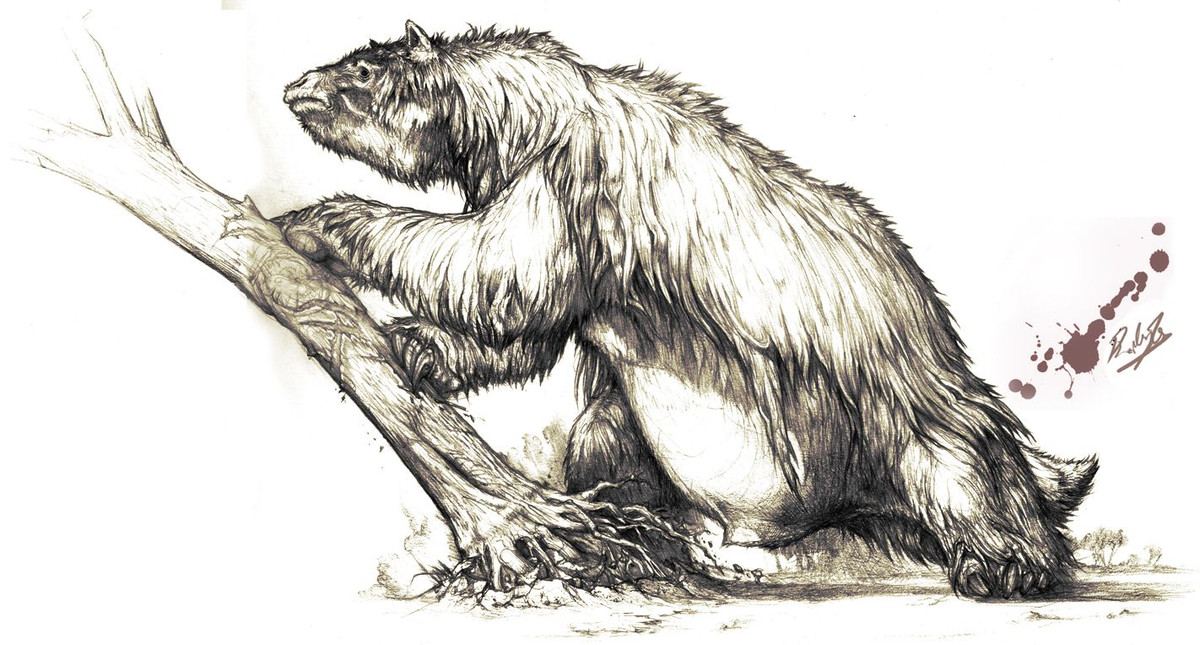  Kích thước khổng lồ. Các loài lười khổng lồ thời tiền sử có thể đạt kích thước cực kỳ lớn, một số loài có thể dài tới 6 mét và nặng lên đến 4 tấn, lớn gấp nhiều lần so với các loài lười hiện đại. Ảnh: Pinterest.