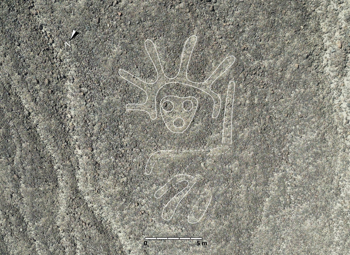  5. Có niên đại hàng nghìn năm. Các hình vẽ mới được ước tính có niên đại từ 500 năm TCN đến năm 500 SCN, thuộc về nền văn hóa Nazca cổ đại. Ảnh: The Japan Times.