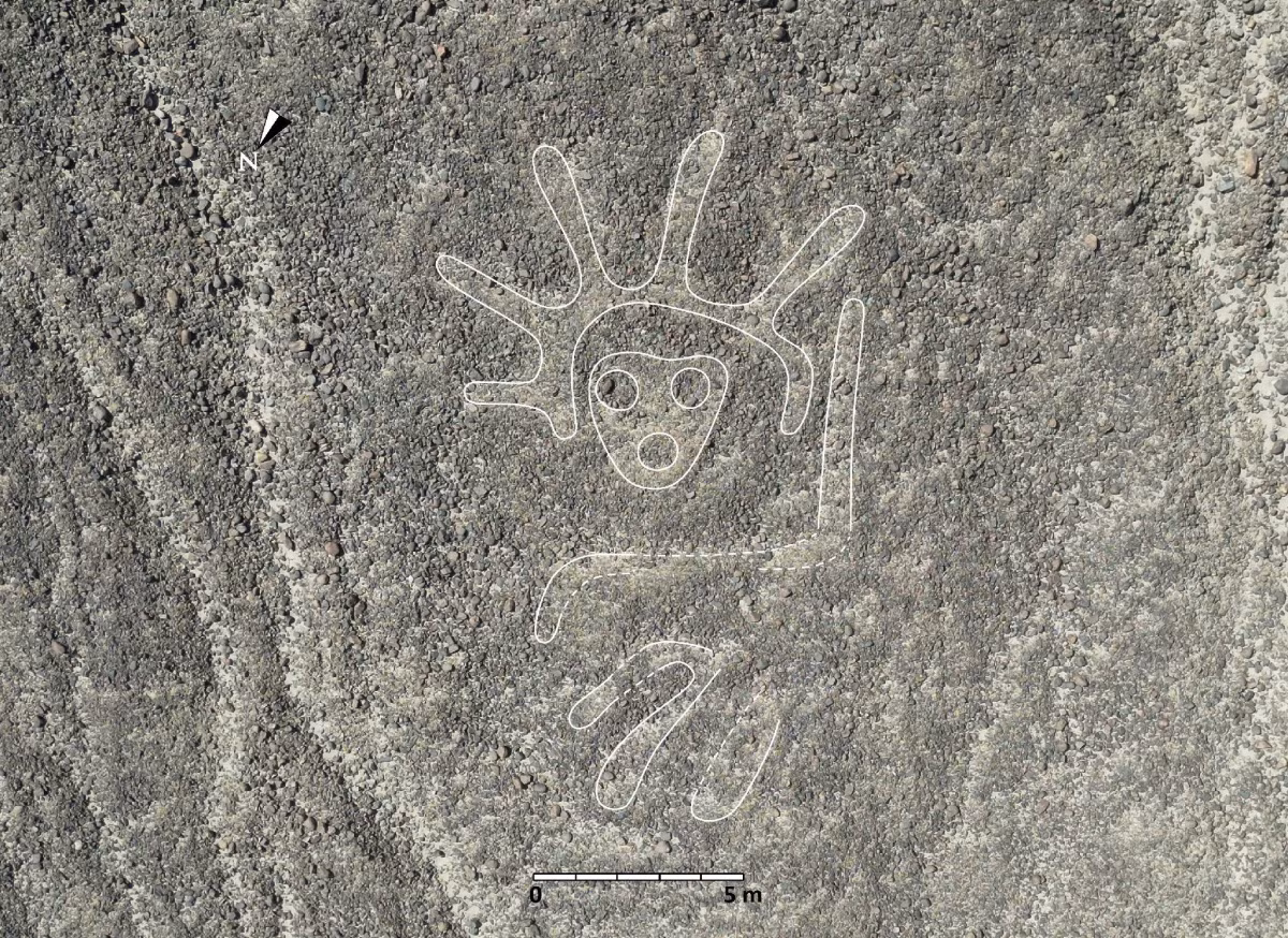  5. Có niên đại hàng nghìn năm. Các hình vẽ mới được ước tính có niên đại từ 500 năm TCN đến năm 500 SCN, thuộc về nền văn hóa Nazca cổ đại. Ảnh: The Japan Times.