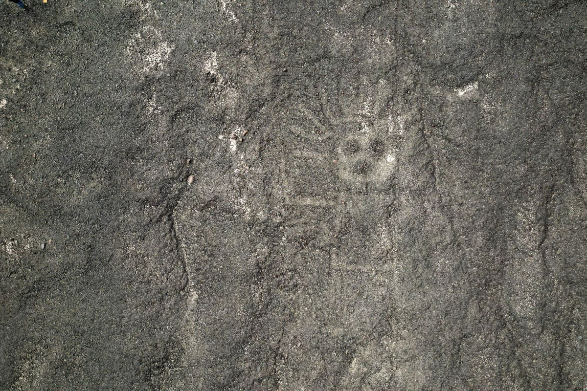  12. Gợi mở nghiên cứu tương lai. Thành công của nghiên cứu này mở ra cơ hội tìm hiểu sâu hơn về mối quan hệ giữa các hình vẽ và vị trí thiên văn học, địa lý trong nền văn hóa Nazca. Ảnh: Language Log.