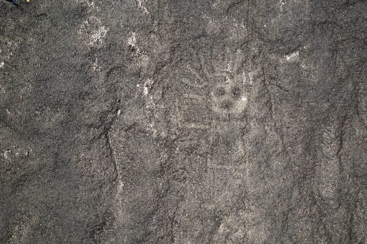  12. Gợi mở nghiên cứu tương lai. Thành công của nghiên cứu này mở ra cơ hội tìm hiểu sâu hơn về mối quan hệ giữa các hình vẽ và vị trí thiên văn học, địa lý trong nền văn hóa Nazca. Ảnh: Language Log.