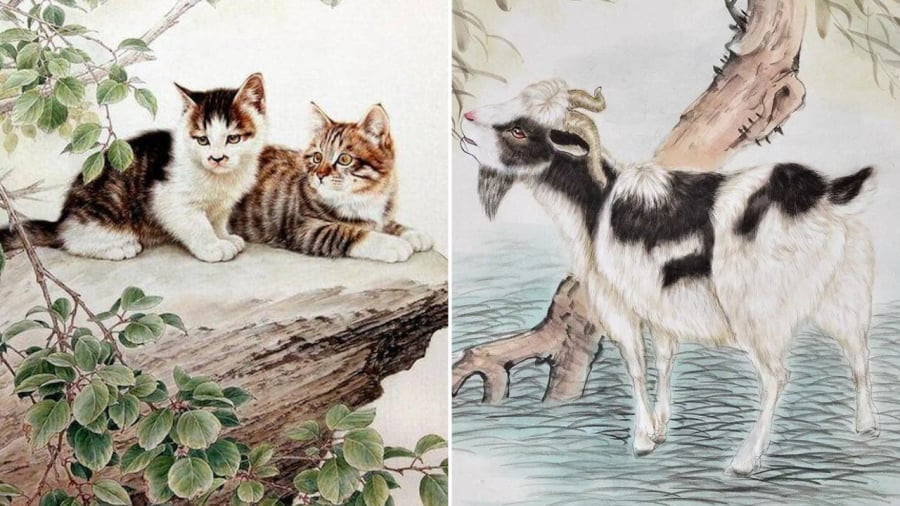 Mùi và Mão: Người tuổi Mùi và người tuổi Mão đều có một ưu điểm chung, đó là tính tình tốt bụng, hiền lành và tốt bụng, như người ta thường nói, mọi việc sẽ thịnh vượng khi gia đình hòa thuận, vậy nên khi hai người trong số họ được kết hợp, gia đình sẽ hòa thuận và cùng nhau tạo nên một tương lai rực rỡ. 