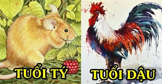  Vì vậy, nếu trong nhà có hai con giáp này thì gia đình bạn sẽ luôn thịnh vượng và bạn sẽ không bao giờ nghèo khó. (Bài viết chỉ mang tính chất tham khảo và chiêm nghiệm).