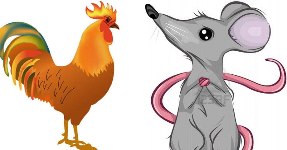  Tý và Dậu: Những người sinh năm Tý rất thông minh, tài năng và có năng lực. Người tuổi Dậu không chỉ có tài năng dồi dào mà còn có mệnh tích trữ của cải, mệnh có tiền. 