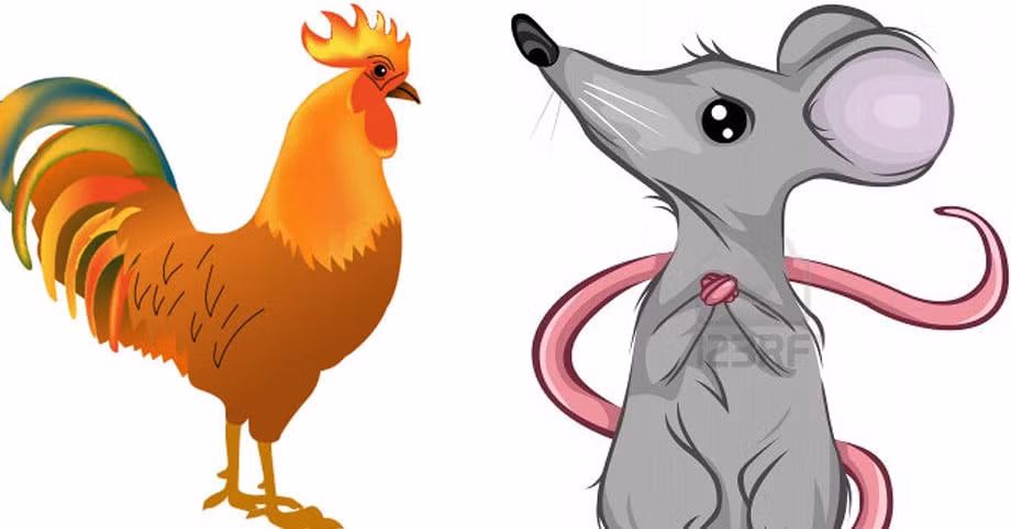  Tý và Dậu: Những người sinh năm Tý rất thông minh, tài năng và có năng lực. Người tuổi Dậu không chỉ có tài năng dồi dào mà còn có mệnh tích trữ của cải, mệnh có tiền. 