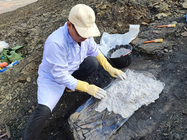 Bên cạnh đó, các chuyên gia của bảo tàng cũng tìm thấy nhiều mẫu vật cổ sinh khác, gồm ốc, rùa, trai, mẫu vật thực vật và xương, răng của một số loài chưa xác định. Ảnh: BT tỉnh Lạng Sơn.