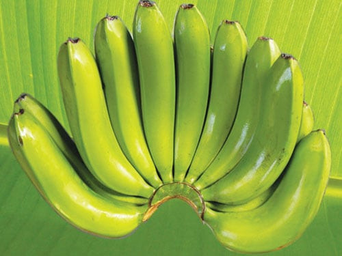 Cung Giao thua 5 qua nay, phu quy, phuc loc vao nha