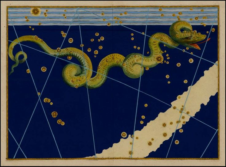  2. Tên gọi Cự Xà. “Cự Xà” hay “Serpens” đều có nghĩa là “con rắn lớn”, phản ánh hình dáng của một con rắn lớn uốn lượn trên bầu trời. Ảnh: Pinterest.