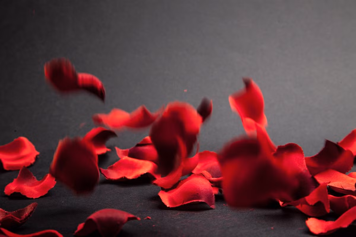  Hoa hồng trong y học cổ đại: Các bác sĩ Ai Cập, Hy Lạp và La Mã sử dụng cánh hoa hồng để chế thuốc chữa bệnh và làm dịu vết thương. Ảnh: Pinterest.