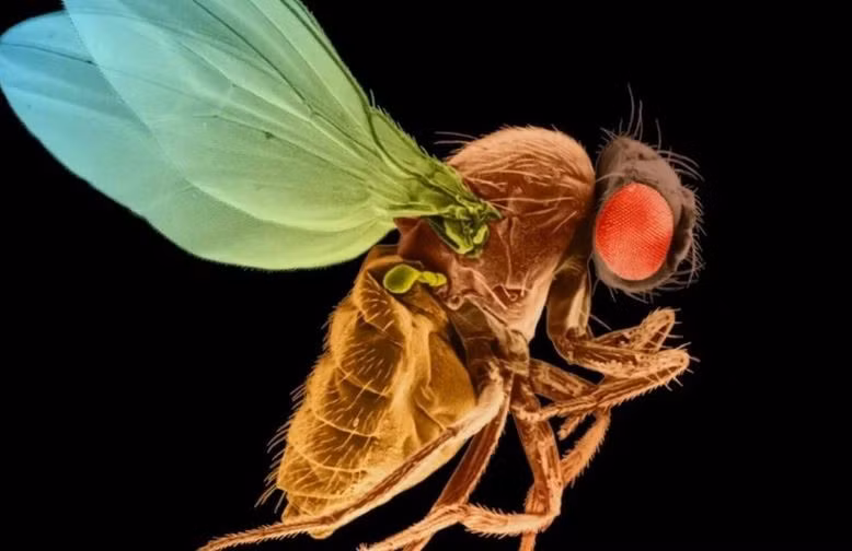 6 'khoảnh khắc' khoa học đặc biệt ấn tượng trong năm 2024 6 'khoanh khac' khoa hoc dac biet an tuong trong nam 2024