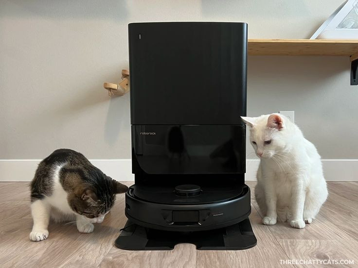  1. Tích hợp hệ thống lau xoay tiên tiến. Robot hút bụi Q Revo được trang bị hai đầu lau xoay 360 độ, giúp làm sạch hiệu quả hơn so với các robot hút bụi truyền thống. Ảnh: Pinterest.