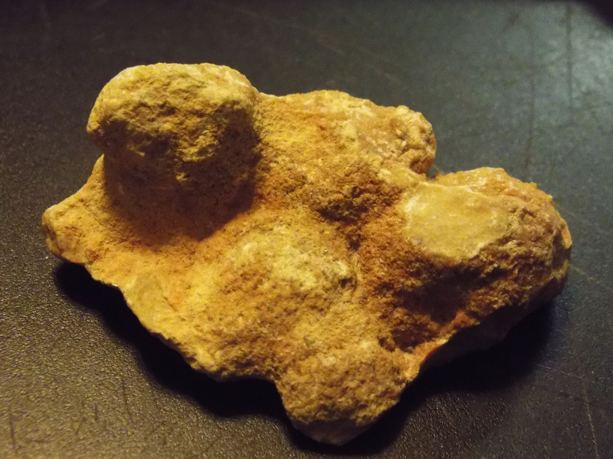  9. Dấu vết của vi khuẩn cổ đại. Một số coprolite còn lưu giữ dấu vết của vi khuẩn hoặc vi sinh vật thời cổ đại, giúp nghiên cứu hệ vi sinh vật tiền sử. Ảnh: Pinterest.