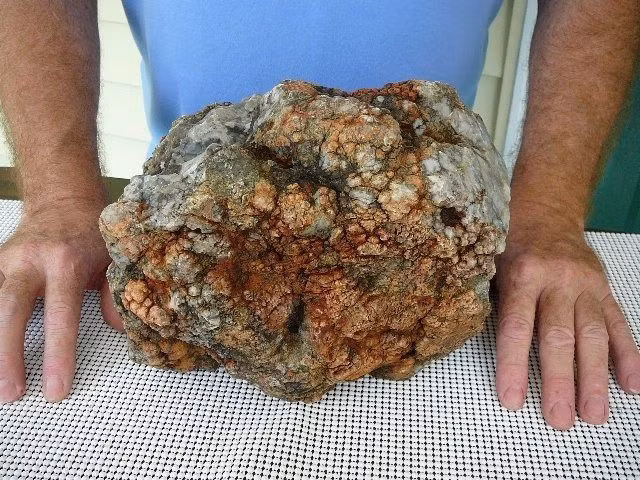  2. Nguồn gốc tên gọi. Từ "coprolite" xuất phát từ tiếng Hy Lạp, với "kopros" nghĩa là phân và "lithos" nghĩa là đá. "Coprolite" nghĩa đen là "phân đá". Ảnh: Pinterest.