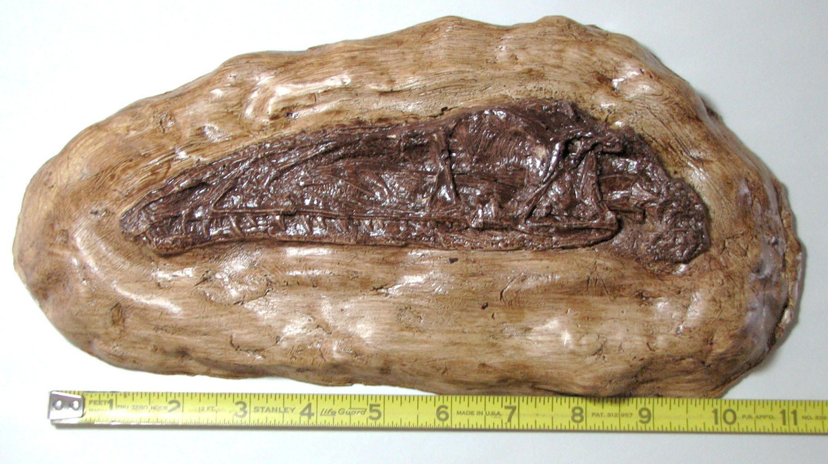  15. Sử dụng trong nghệ thuật. Một số người dùng coprolite trong trang sức hoặc tác phẩm nghệ thuật nhờ vẻ ngoài độc đáo và câu chuyện lịch sử của chúng. Ảnh: Pinterest.