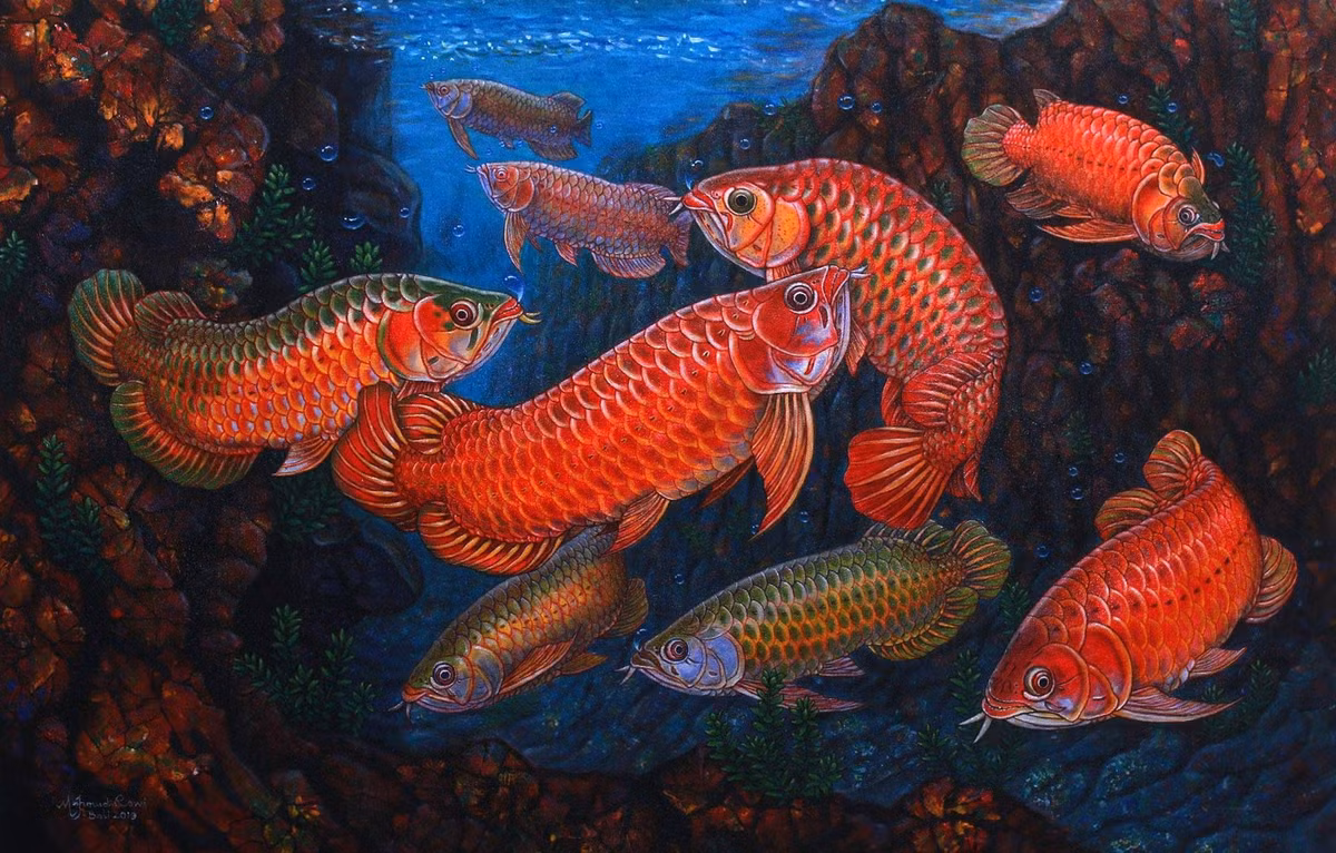  6. Tính cách hung dữ. Cá rồng khá hung dữ và không thích sống chung với loài cá khác, trừ khi được nuôi chung từ nhỏ. Ảnh: Pinterest.