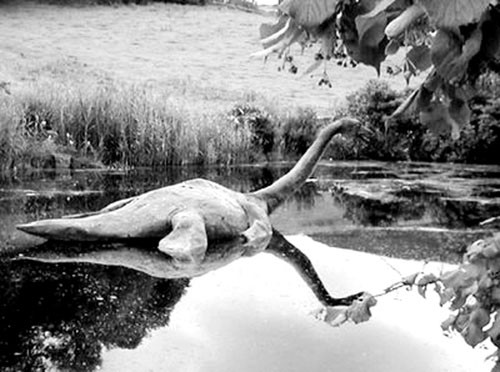 Cũng trong năm nay, Hugh Gray khi đang đi dạo bỗng bắt gặp sinh vật có thân hình đồ sộ trồi lên mặt nước. Ông đã dùng máy ảnh chụp lại. Bức ảnh này vẫn còn nổi tiếng đến tận ngày nay. Ông Gray tin rằng mình là người đầu tiên nhìn thấy và chụp được quái vật hồ Loch Ness.