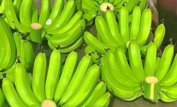 Sự hiện diện của chuối trong mâm ngũ quả thể hiện mong ước về một gia đình hòa thuận, ấm êm trong năm mới.