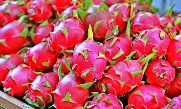 5. Thanh long: Với vẻ ngoài thanh nhã, sang trọng, thanh long được nhiều gia đình lựa chọn để trang trí bàn thờ gia tiên. Màu đỏ hồng của thanh long mang đến sự hài hòa, bắt mắt cho mâm ngũ quả và thể hiện mong muốn phát tài, phát lộc của gia chủ trong năm mới.