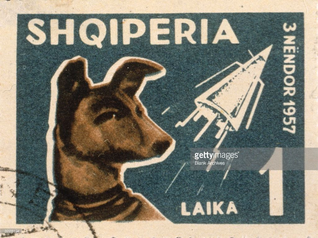  12. Sputnik 2 cháy rụi khi trở lại Trái Đất. Sau hơn 2.500 vòng quay quanh Trái Đất, Sputnik 2 và cơ thể của Laika bị cháy rụi khi tái nhập bầu khí quyển vào tháng 4 năm 1958. Ảnh: Pinterest.