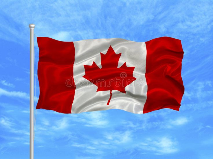  Lá cờ Canada ra đời muộn: Lá cờ hiện tại với hình lá phong được thông qua vào năm 1965, thay thế lá cờ Red Ensign có hình biểu tượng Anh. Sự ra đời của lá cờ củng cố chú quyền Canada trên danh nghĩa. Ảnh: Pinterest.