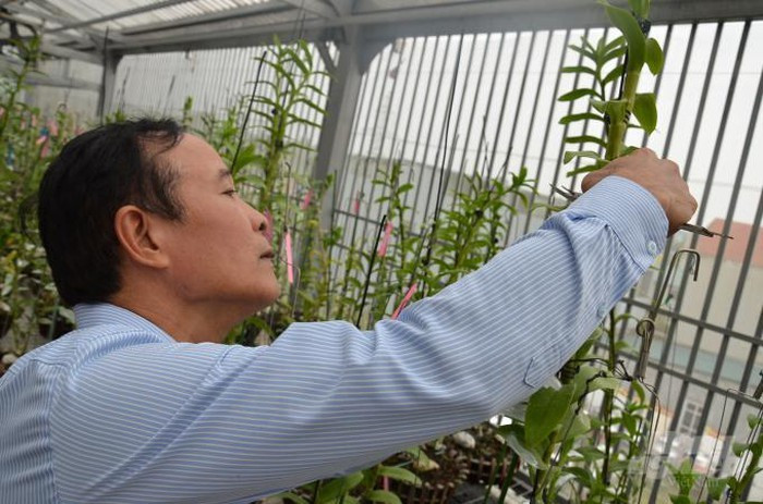 Ve que cua lan dot bien: Tu 'tam gui' tren cay da thanh ra bac ty-Hinh-3