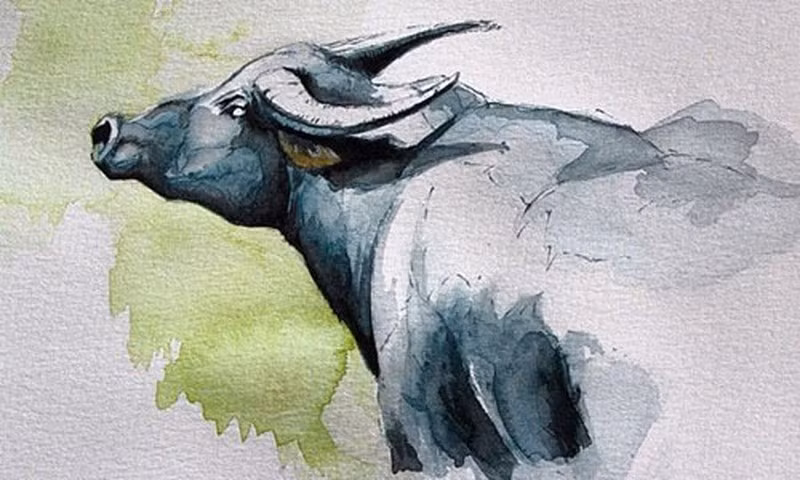 Tu 1/8 Canh Ty: 3 con giap lien tuc may man, tien bac luon cang vi-Hinh-2