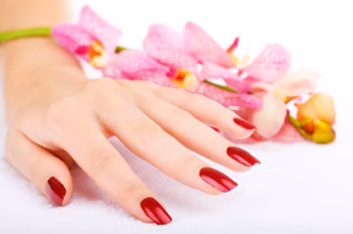 4. Người có móng tay cong cong như hình móng gà, móng chim là người bảo thủ, thường bác bỏ ý kiến của người khác, xem ý kiến của mình là... luôn luôn đúng!.