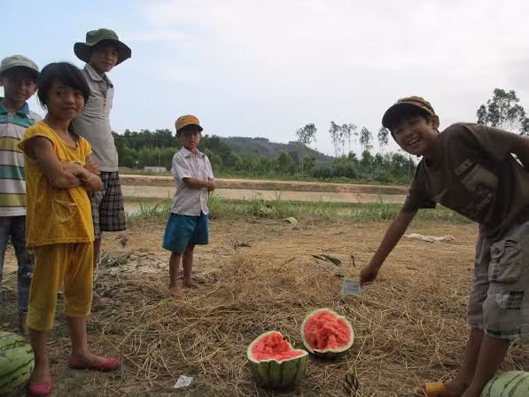 Sau khi bốc dưa lên xe giúp các thương lái, các em nhỏ không thèm lấy dưa mà chỉ nhận 20 nghìn đồng chia nhau.