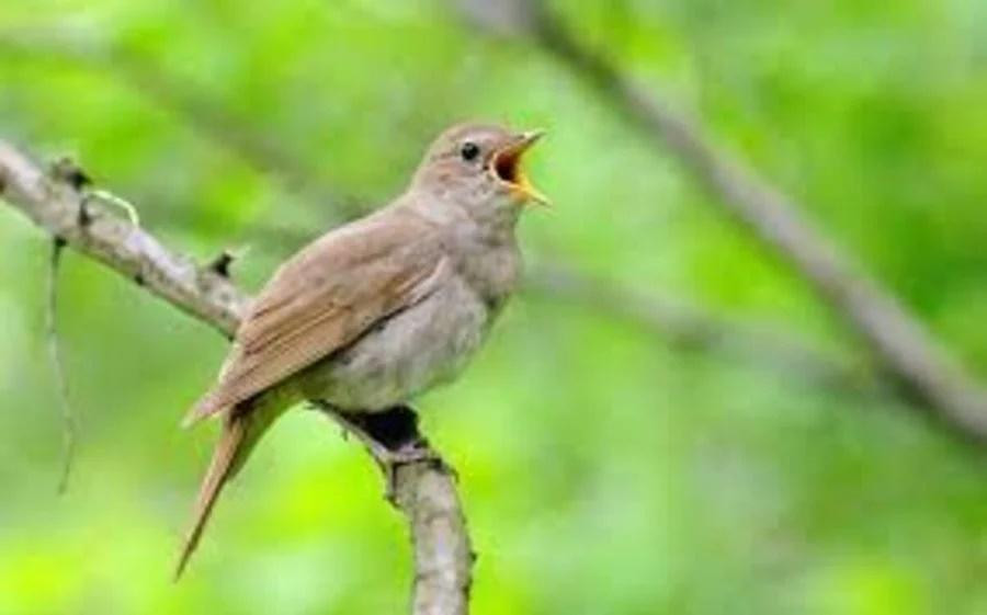 Sống trong ngôi nhà có những dấu hiệu này càng lâu thì sẽ càng phát tài, giàu có, cuộc sống vô cùng viên mãn. Vợ chồng con cái tâm đầu ý hợp hạnh phúc trọn đời.