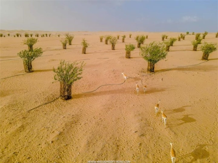 Hồ nước hình trăng khuyết lọt thỏm giữa sa mạc cằn cỗi ảnh 6