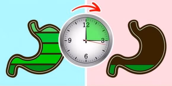 Ngu trua ngay sau khi an dieu gi se xay ra voi co the?-Hinh-6