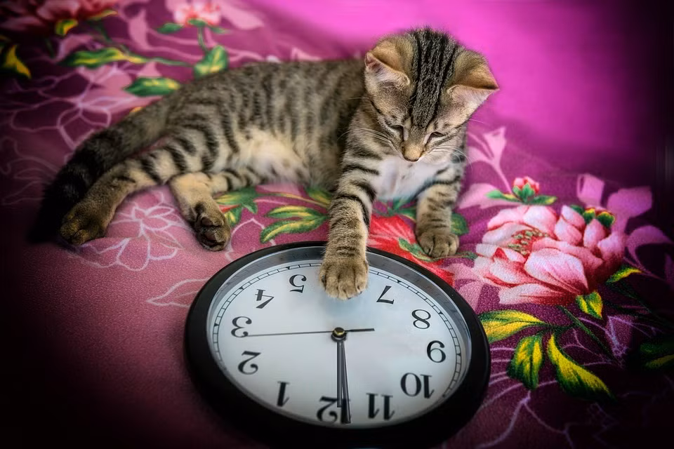 Sinh ngay Am lich nay huong phuc loc, quy nhan giup do-Hinh-3