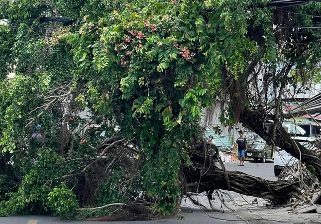 Theo Ban Chỉ huy phòng chống thiên tai, tìm kiếm cứu nạn và phòng thủ dân sự TP. Phú Quốc, từ đêm 17/12 đến chiều nay (18/12), Phú Quốc chịu ảnh hưởng của gió giật mạnh và thủy triều dâng khiến 16 căn nhà ở bị tốc mái, 2 căn nhà bị sập; hai tàu cá bị chìm tại bến và một tàu cá bị sóng đánh dạt vào bờ. Tổng giá trị thiệt hại về tài sản khoảng 1,7 tỷ đồng.