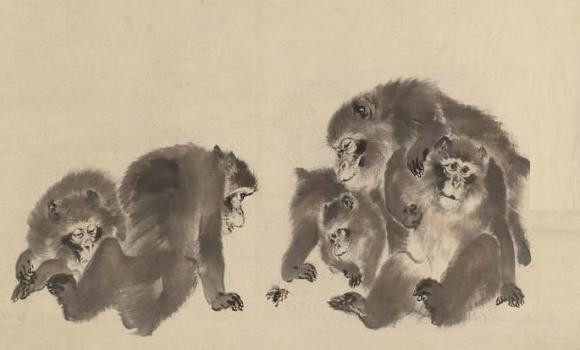 Tu vi tuan moi (12/12 - 18/12): top 3 con giap loc ve un un-Hinh-3