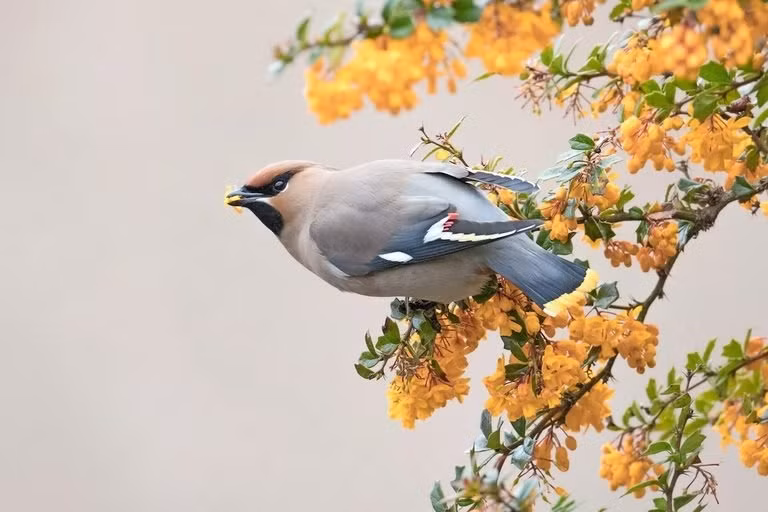 Nhờ đó, người sinh ngày Âm lịch này ngày càng có nhiều cơ hội phát triển trong tương lai. Họ tin tưởng vào sức mạnh của bản thân sẽ đạt được mục tiêu trong thời gian ngắn nhất.