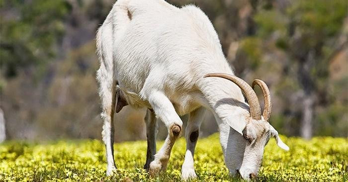 Tháng 8 Âm lịch kết thúc cũng là lúc họ nắm vững một số quy tắc ở nơi làm việc, giữ mối liên hệ chặt chẽ với các đối tác, tạo dựng niềm tin với đồng nghiệp.