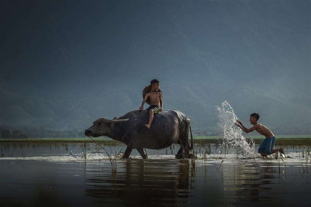 4 tuoi giua thang 12 