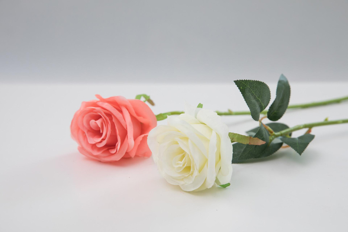 Tuần mới từ 12/12, 3 con giáp ra ngoài làm ăn phát tài - Hình 2 Tuan moi tu 12/12, 3 con giap ra ngoai lam an phat tai-Hinh-2