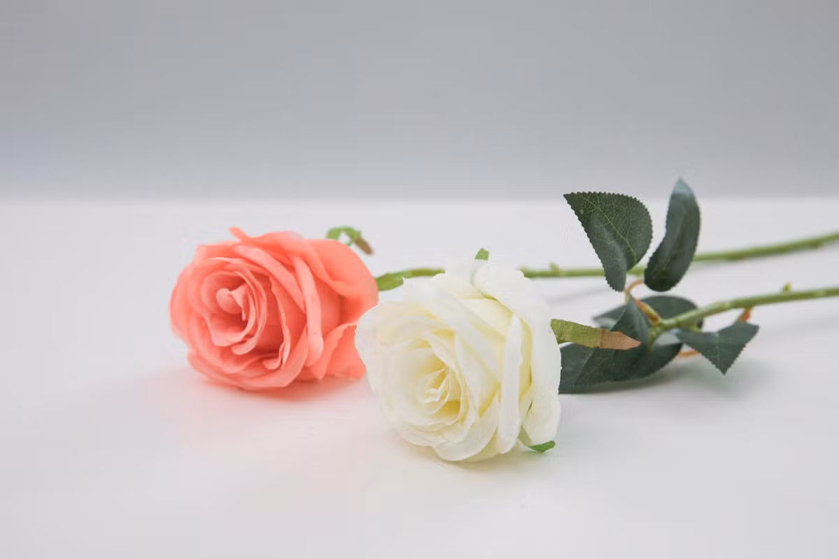 Tuần mới từ 12/12, 3 con giáp ra ngoài làm ăn phát tài - Hình 2 Tuan moi tu 12/12, 3 con giap ra ngoai lam an phat tai-Hinh-2