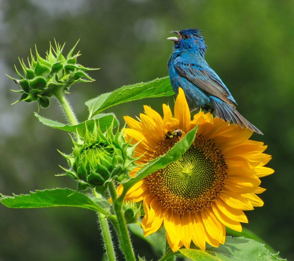 Những gười sinh ngày Âm lịch này một đời viên mãn, phúc lộc dư dả - Hình 2 Nhung guoi sinh ngay Am lich nay mot doi vien man, phuc loc du da-Hinh-2
