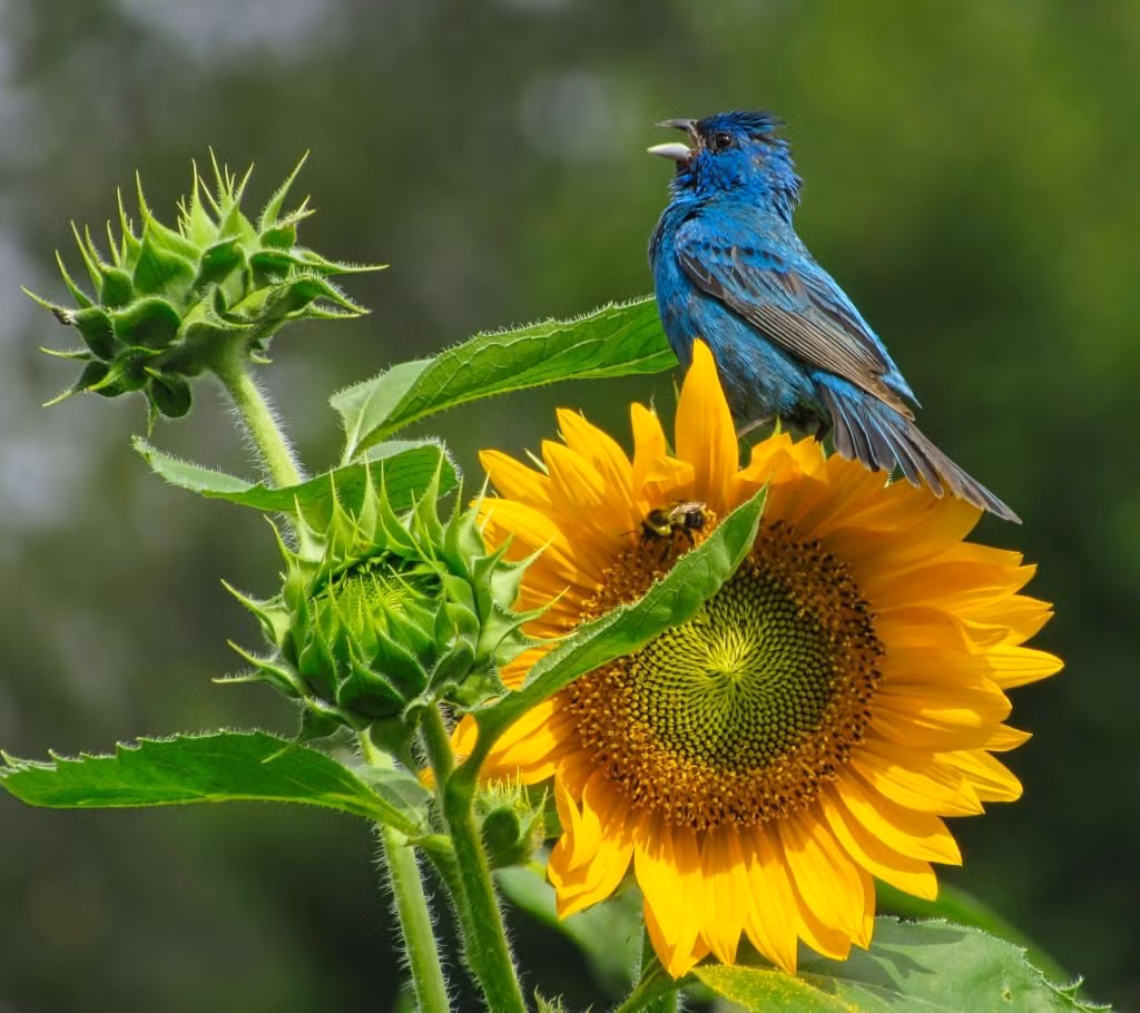 Những gười sinh ngày Âm lịch này một đời viên mãn, phúc lộc dư dả - Hình 2 Nhung guoi sinh ngay Am lich nay mot doi vien man, phuc loc du da-Hinh-2