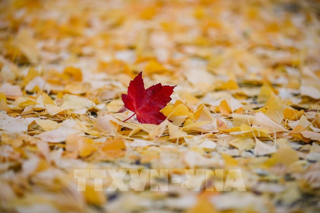 Đối với họ, nếu có vấn đề phát sinh trong công việc thì họ cũng có thể dễ dàng giải quyết. Việc đối xử có tâm với mọi người xung quanh giúp người sinh ngày Âm lịch này có thêm nhiều sự ủng hộ. Họ càng yên tâm để tìm ra hướng phát triển cho bản thân trong tương lai. 