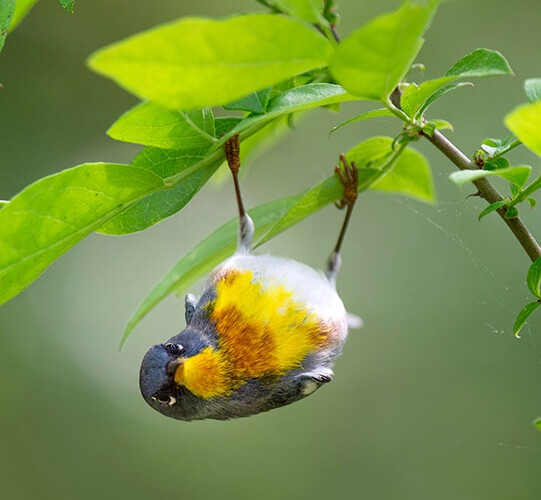 Ai sinh ngày Âm lịch này sống có trách nhiệm - Hình 2 Ai sinh ngay Am lich nay song co trach nhiem-Hinh-2