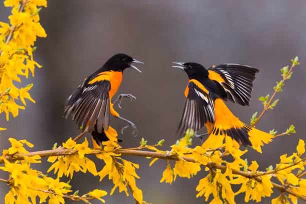 Sinh thang Am lich nay co nhieu ban be, lam an phat dat