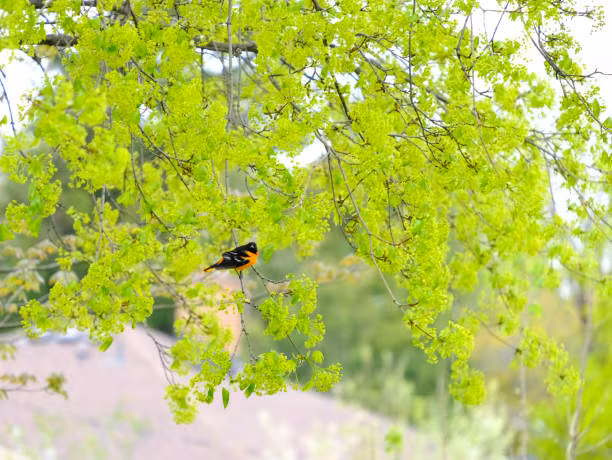 Sinh tháng Âm lịch này có nhiều bạn bè, làm ăn phát đạt - Hình 3 Sinh thang Am lich nay co nhieu ban be, lam an phat dat-Hinh-3
