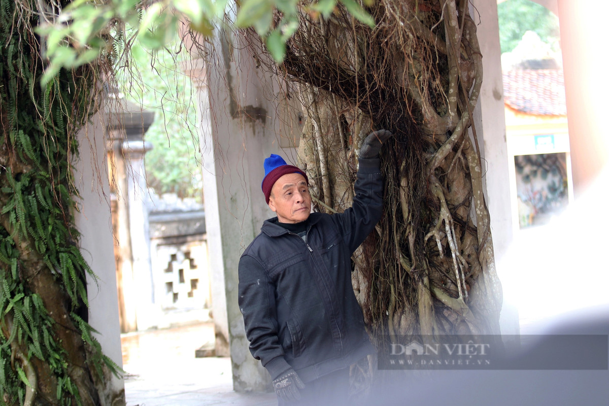 Trao đổi với PV Dân Việt, ông Phan Viết Thỉ-Thủ từ đền Nen cho biết: "Di tích đền Nen còn là một công trình kiến trúc nghệ thuật đặc sắc có giá trị còn tồn tại cho đến nay ở Hà Tĩnh mang đậm tính tâm linh của một công trình kiến trúc tôn giáo. Đền thường được chính quyền địa phương chọn làm nơi tổ chức một số lễ hội trong vùng. Hiện nay địa phương vẫn duy trì Lễ hội đền Nen tổ chức vào ngày 6/3 (Âm lịch), là ngày giỗ Uy Minh Vương Lý Nhật Quang. Đền đón hàng nghìn lượt du khách đến thắp hương, tham quan, nghiên cứu lịch sử, kiến trúc và tôn giáo hàng năm".