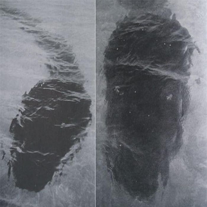 6. Bí ẩn Quái vật đảo Hook. Nếu những bức ảnh quái vật đảo Hook được chụp ở thời hiện tại, người ta có thể cho rằng nó được chỉnh sửa bởi photoshop. Tuy nhiên, nó được chụp vào ngày 12/12/1964 bởi vợ chồng Robert Le Serrec khi họ đang đi dạo bên bờ biển vịnh Stonehaven, đảo Hook, Queensland, Úc. Vật thể lạ không thể xác định được là con vật hay đồ vật gì. Lời giải thích tạm được chấp nhận nhiều nhất là đây là con nòng nọc khổng lồ, nhưng dù thế nào thì kích thước cũng rất vô lý.